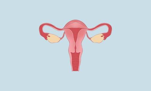 孕妇产前征兆有哪些-孕妇产前征兆是什么、孕妇产前征兆表现 -孕妇产前征兆网